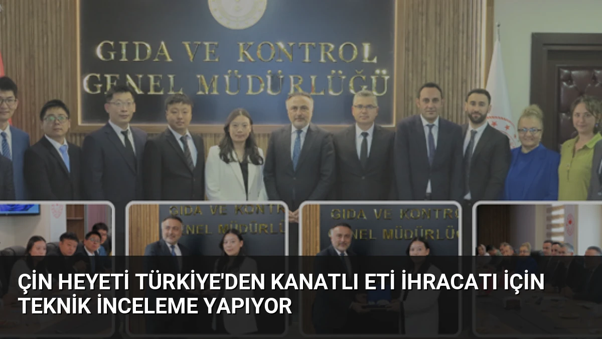 Çin Heyeti Türkiye’den Kanatlı Eti İhracatı İçin Teknik İnceleme Yapıyor