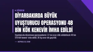 Diyarbakırda Büyük Uyuşturucu Operasyonu 48 Bin Kök Kenevir İmha Edildi