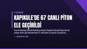 Kapıkule’de 67 Canlı Piton Ele Geçirildi