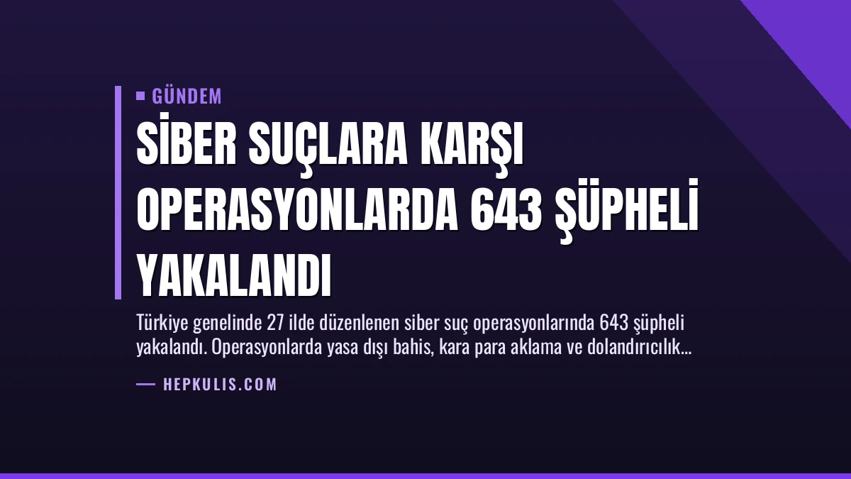 Siber Suçlara Karşı Operasyonlarda 643 Şüpheli Yakalandı